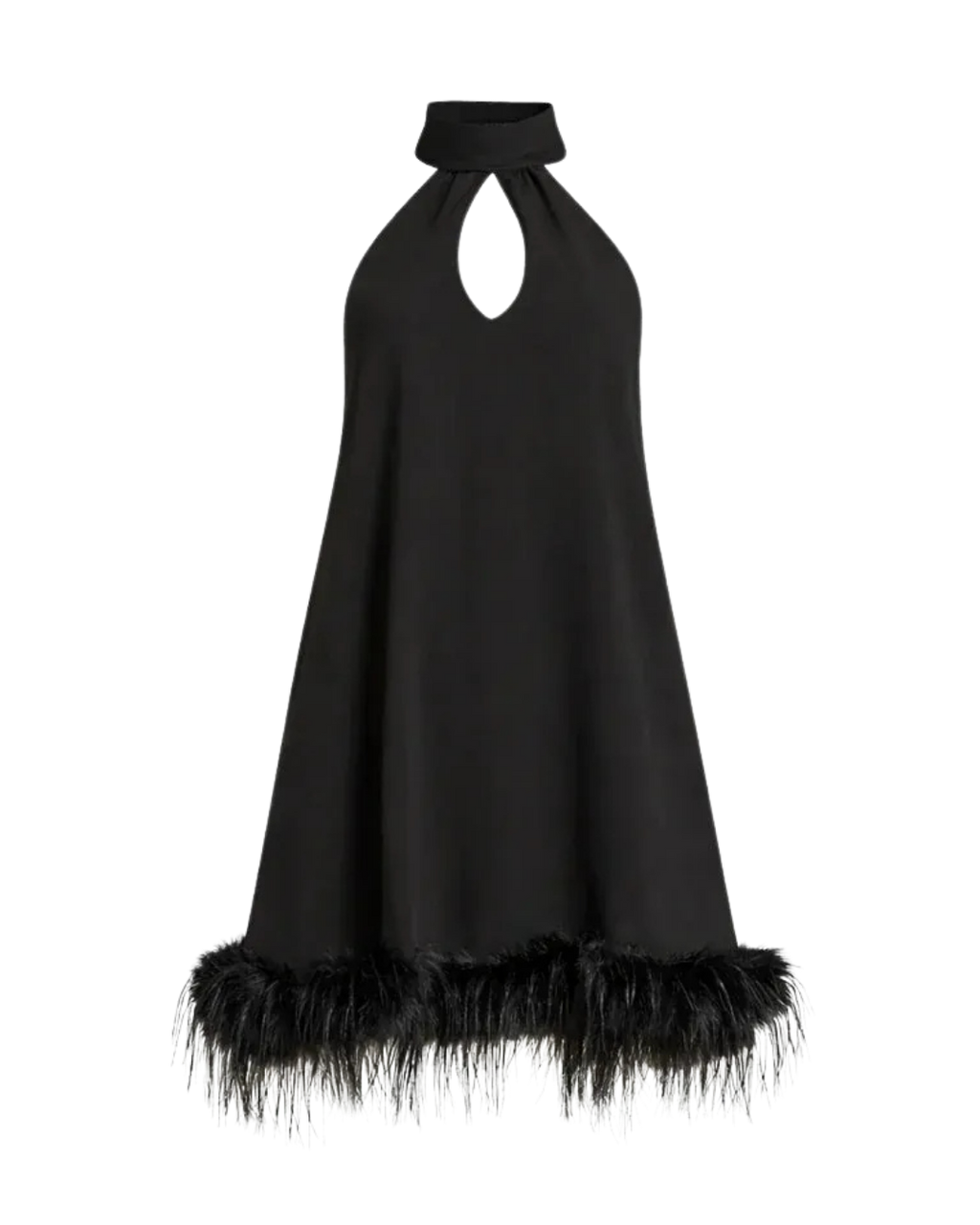 Remy Halter Feather Trim Mini Dress Ella&No