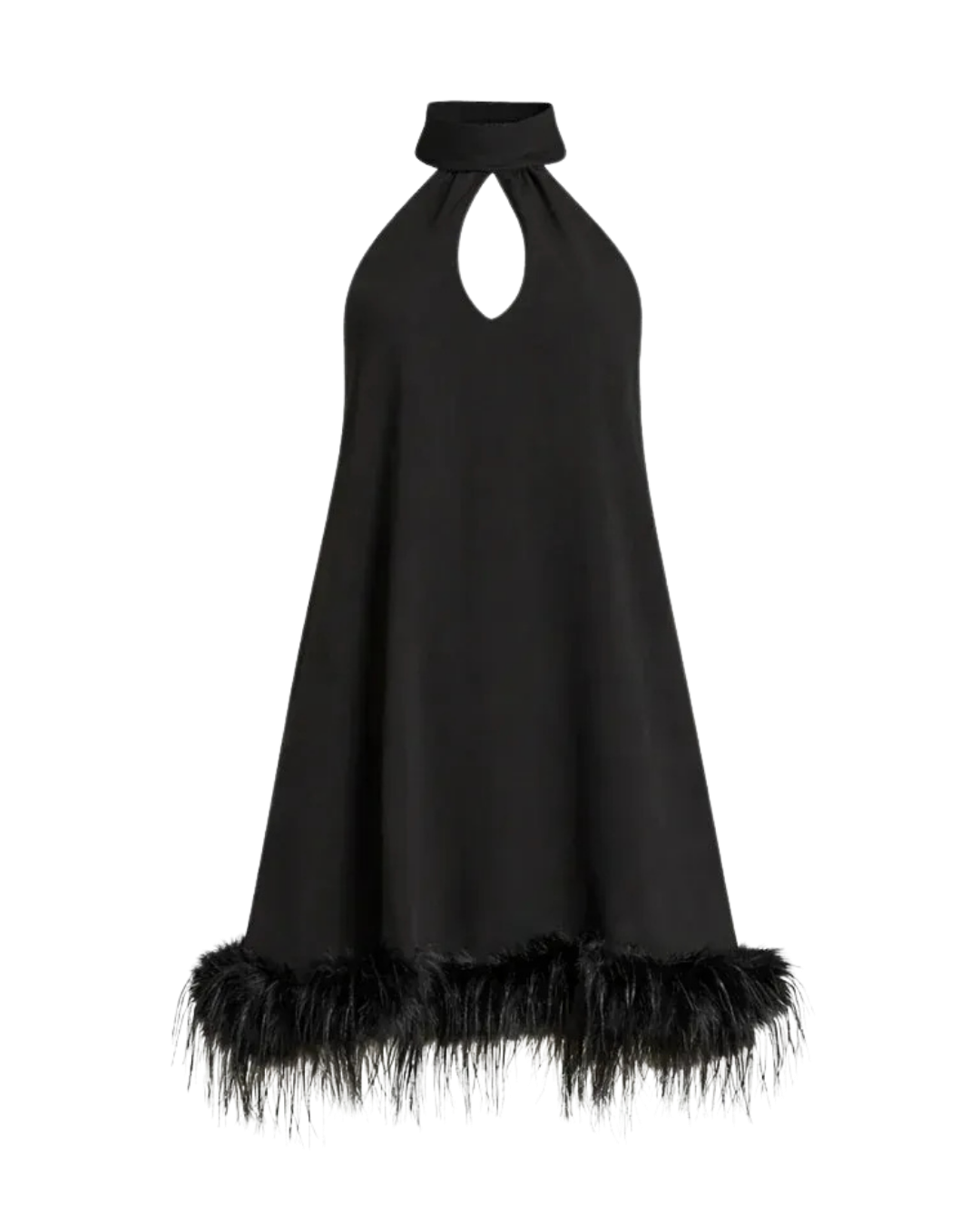 Remy Halter Feather Trim Mini Dress Ella&No