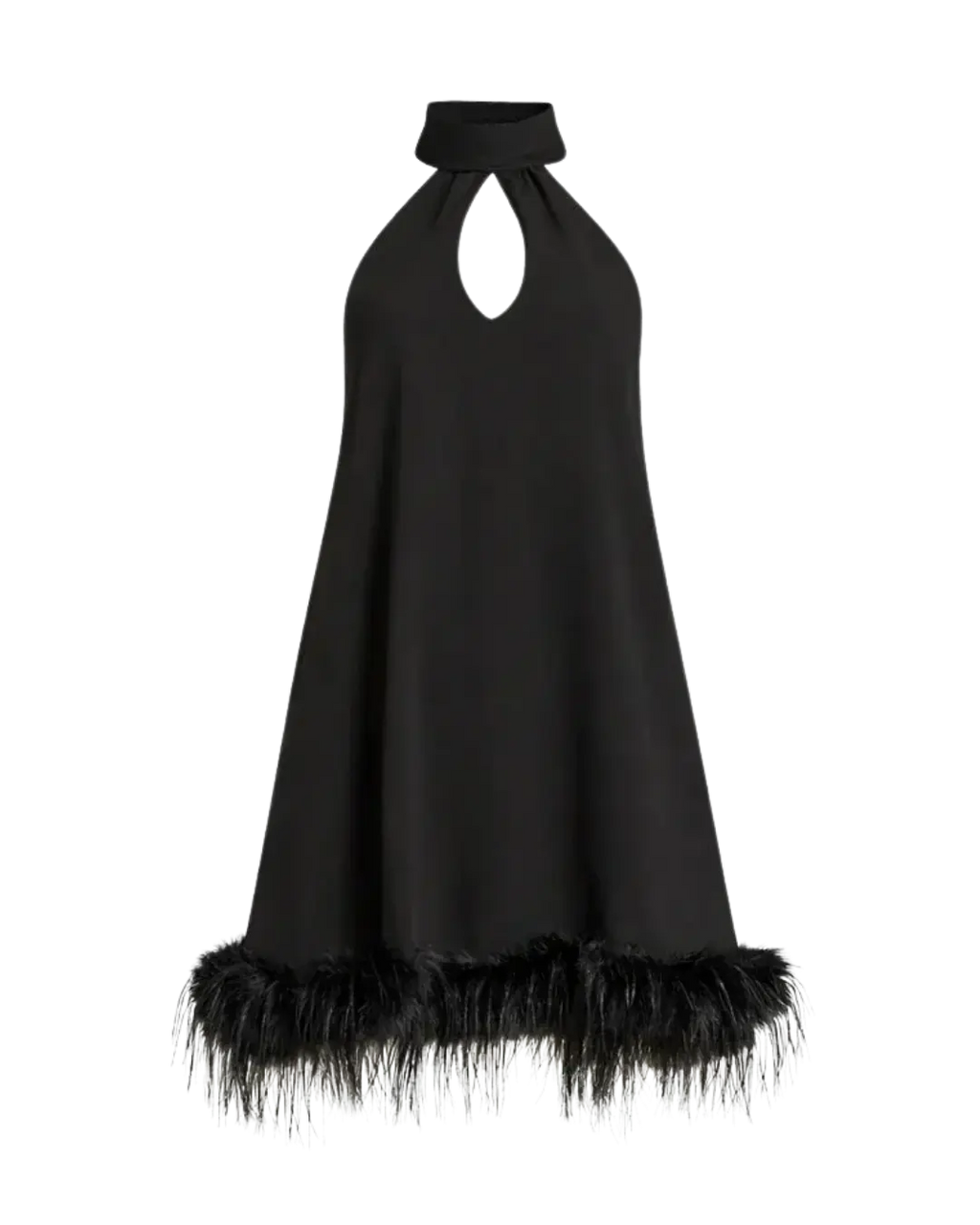 Remy Halter Feather Trim Mini Dress Ella&No