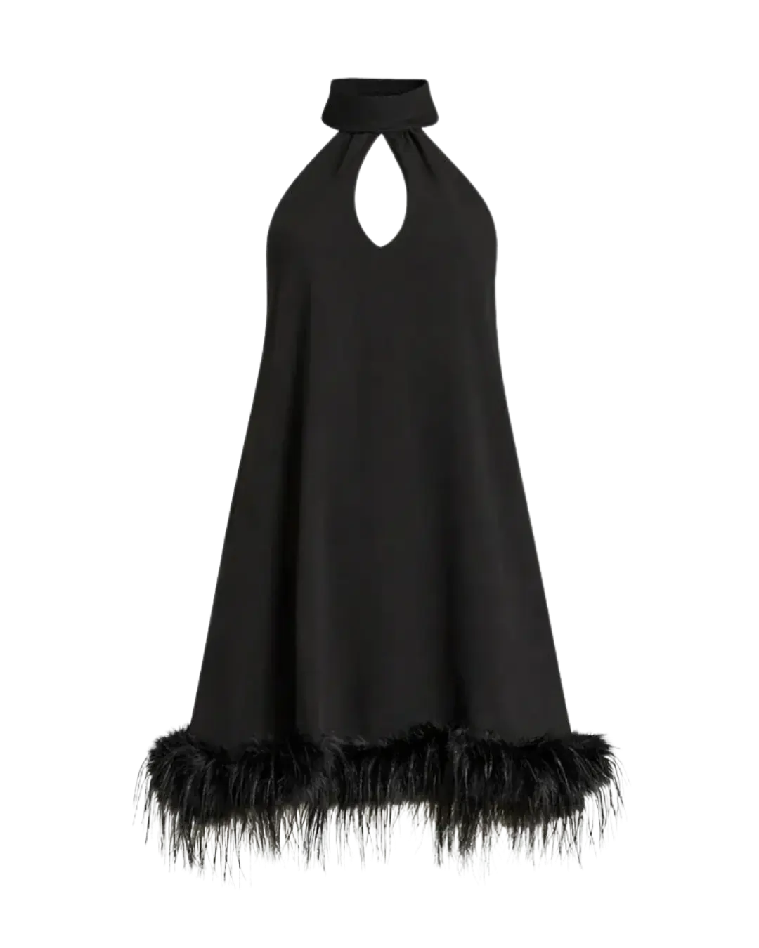 Remy Halter Feather Trim Mini Dress Ella&No